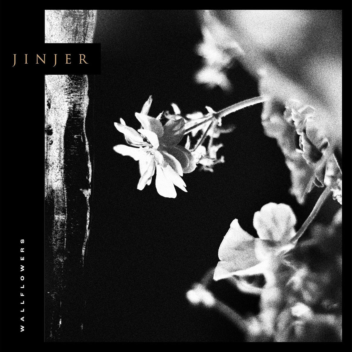 Jinjer – Wallflowers LP