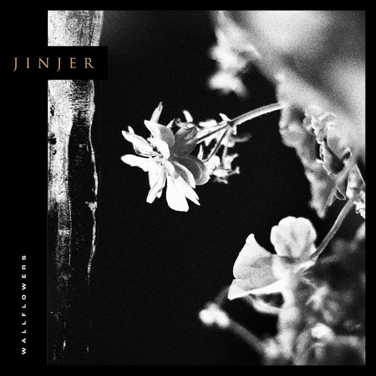 Jinjer – Wallflowers LP