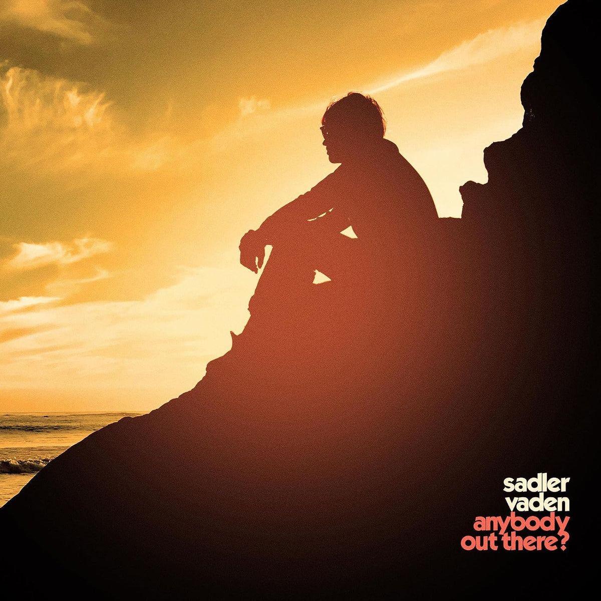 Sadler Vaden – Anybody Out There? LP