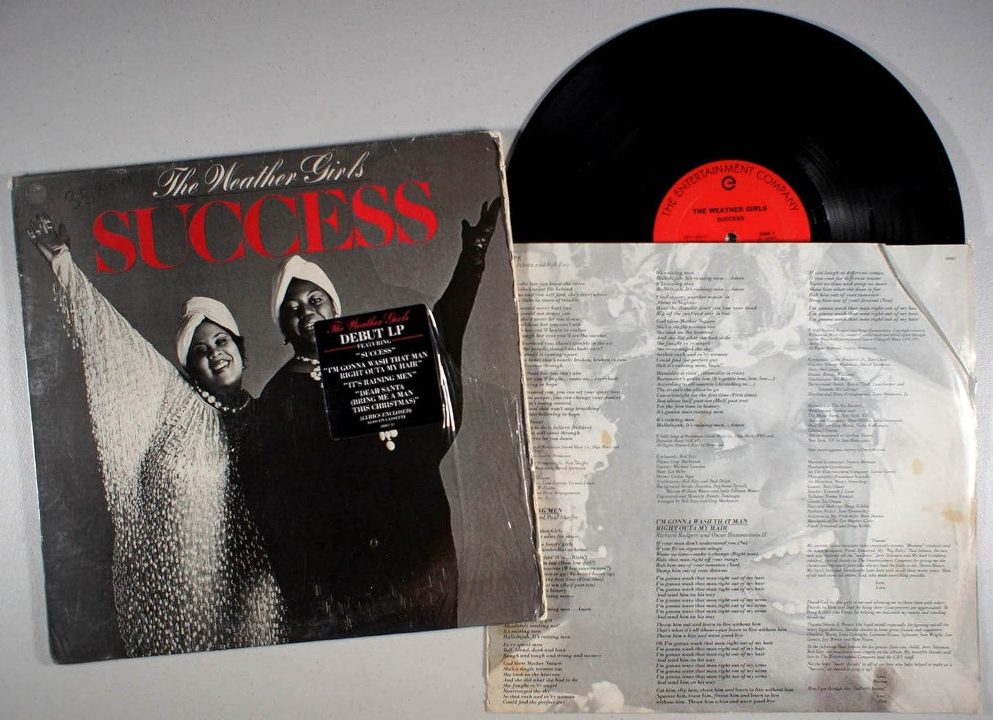 The Weather Girls - Success LP