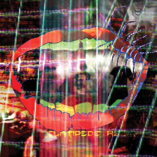 Animal Collective – Centipede Hz 2LP