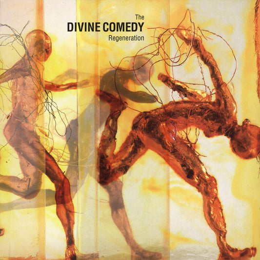 The Devine Comedy - Regeneration LP