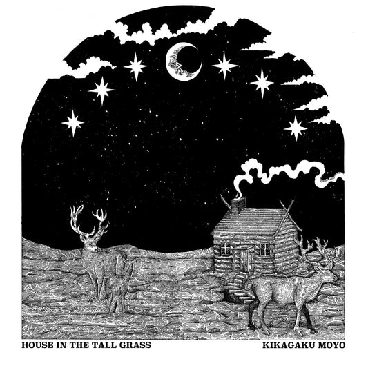 Kikagaku Moyo – House In The Tall Grass LP