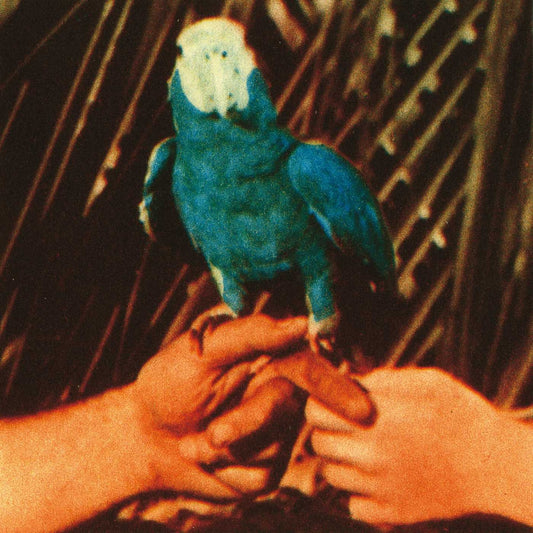Andrew Bird – Are You Serious LP