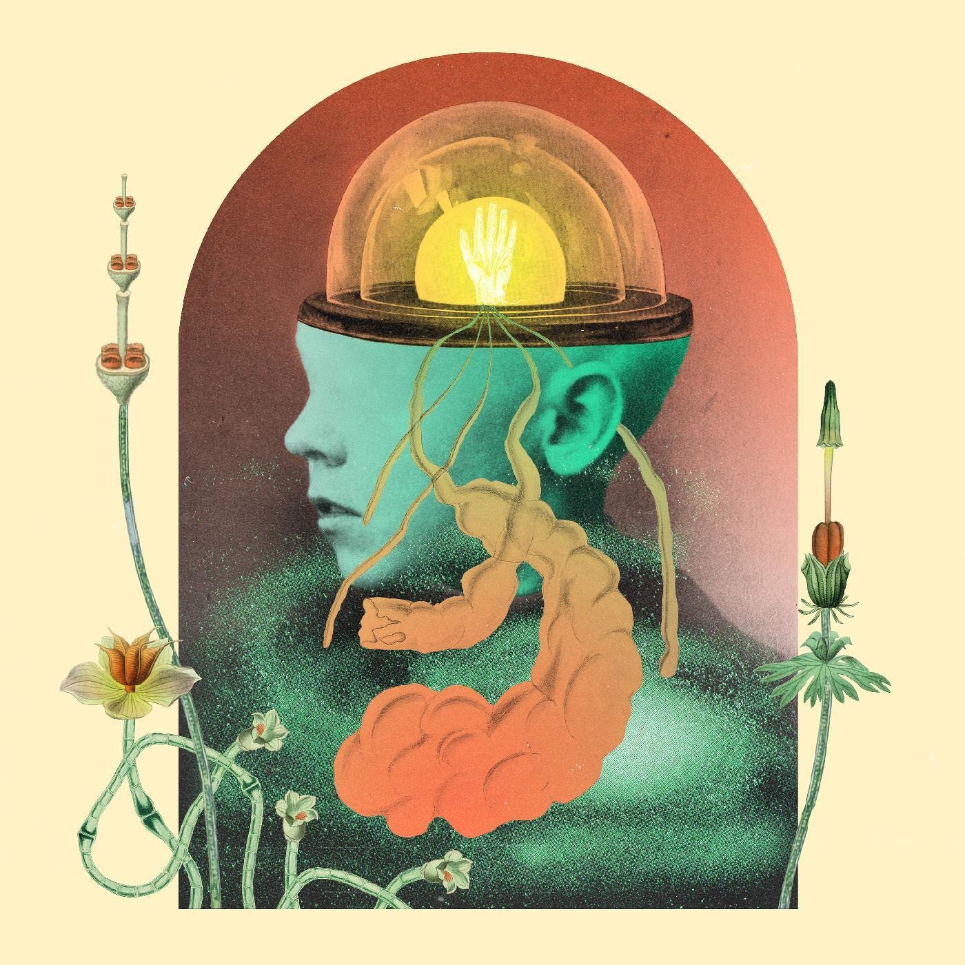 Salami Rose Joe Louis – Akousmatikous LP