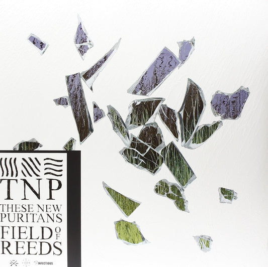 These New Puritans - Field Of Reeds LP