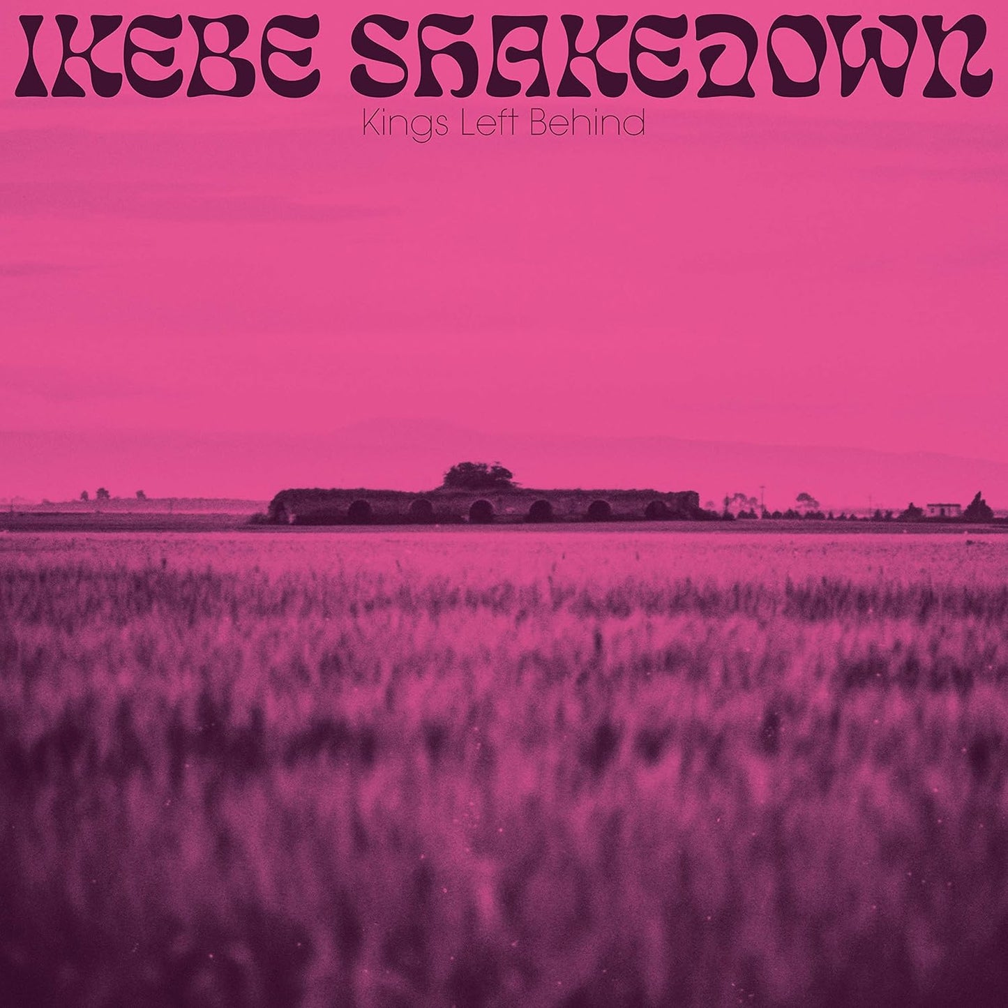 Ikebe Shakedown – Kings Left Behind CD