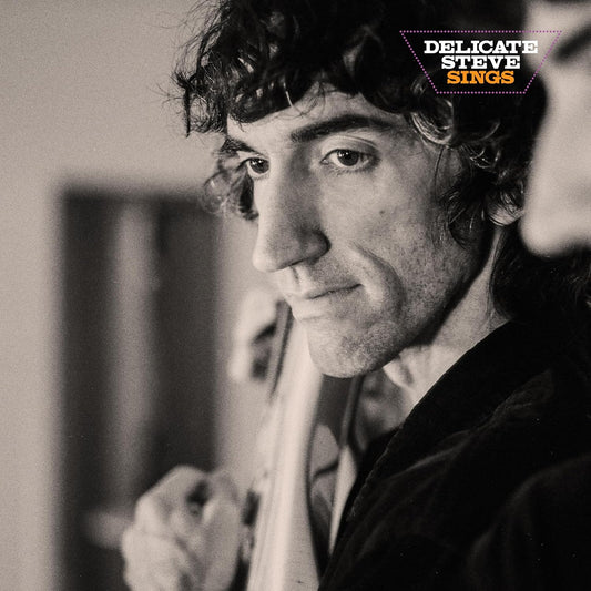 Delicate Steve – Delicate Steve Sings LP