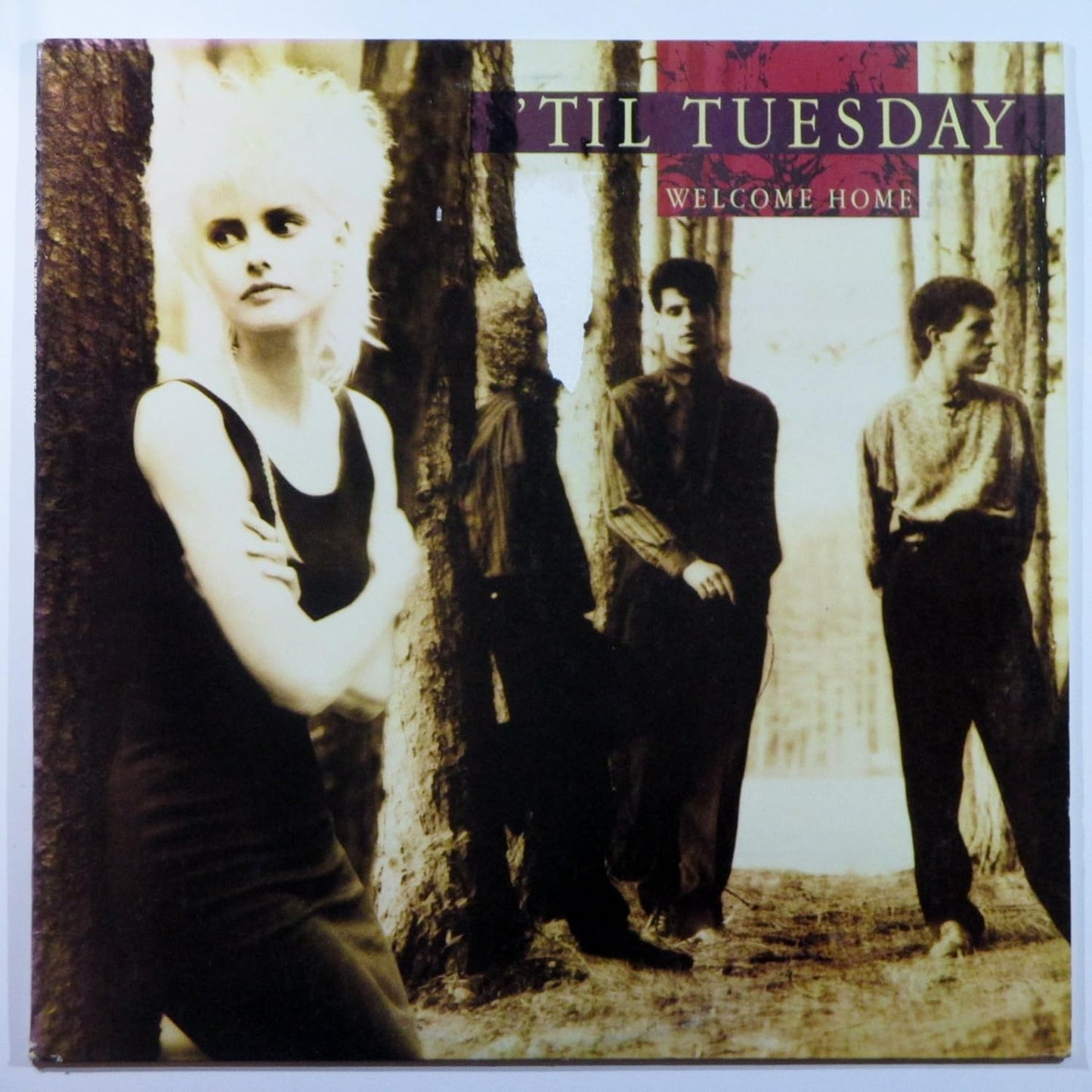 'Til Tuesday - Welcome Home LP