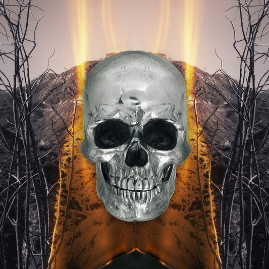 The Neverly Boys – Dark Side Of Everything LP