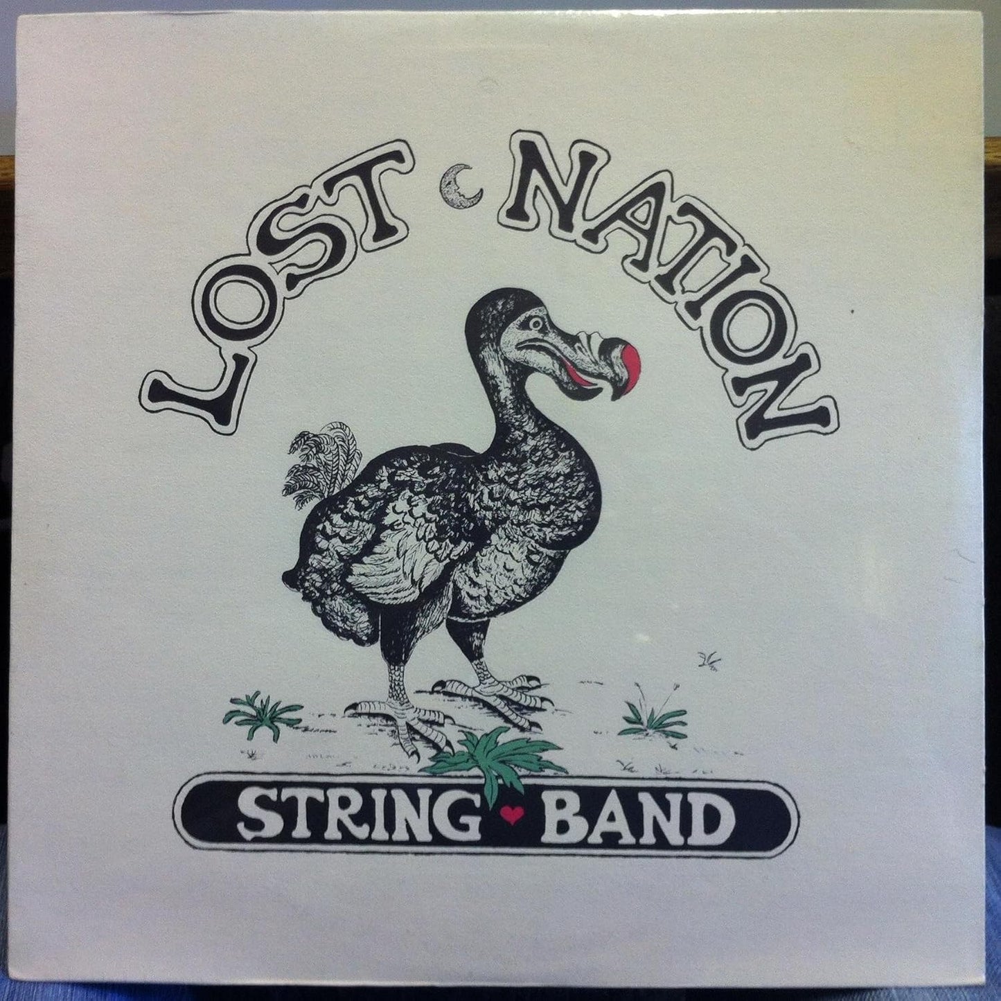 Lost Nation String Band – Lost Nation String Band LP