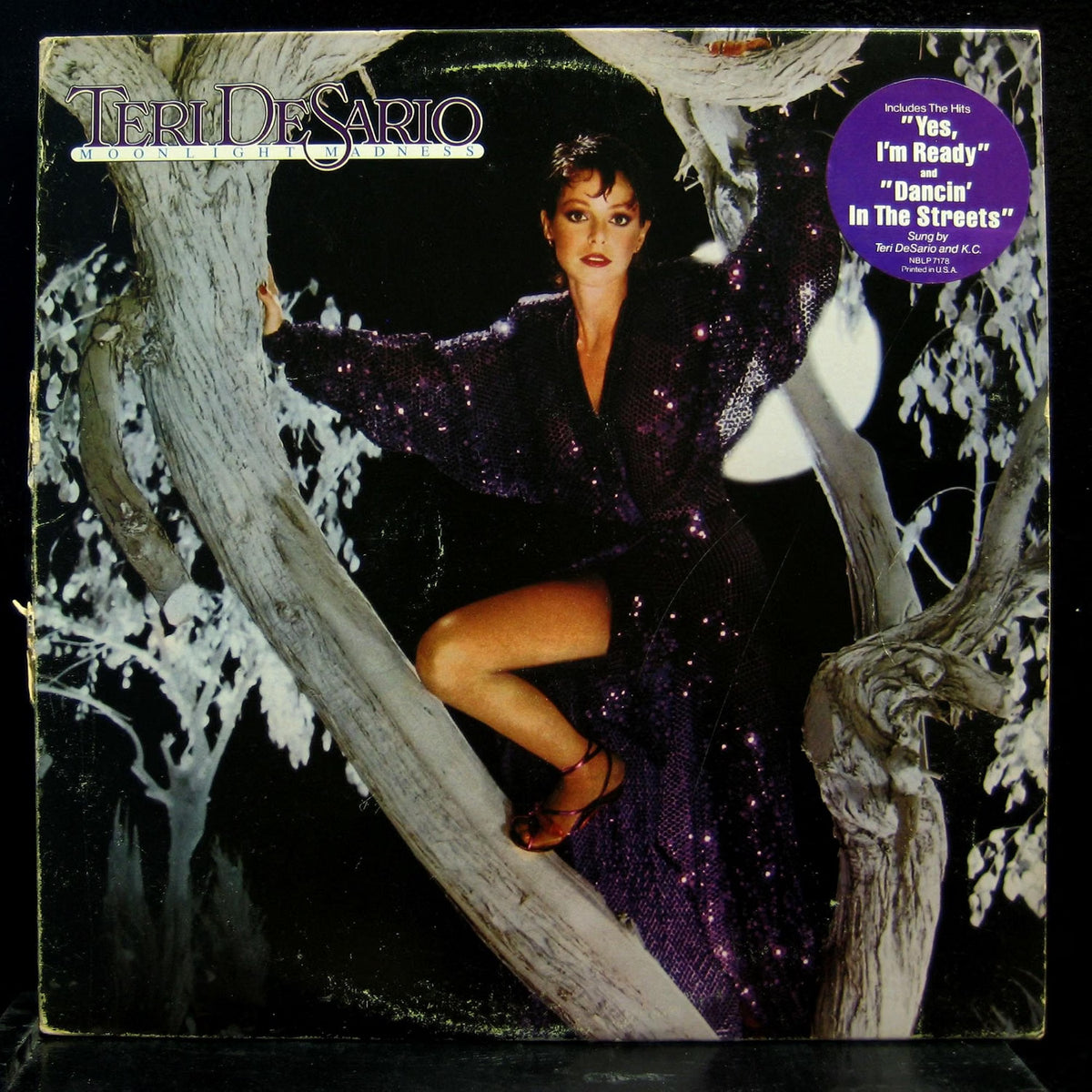 Teri DeSario – Moonlight Madness LP