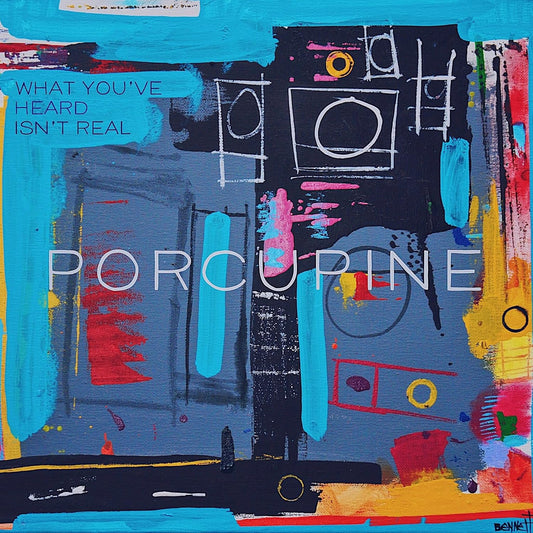 Porcupine - What You've Hears Isn't Real LP