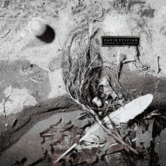 David Sylvian - The Secretes Of The Beehive (2019 Remaster) LP