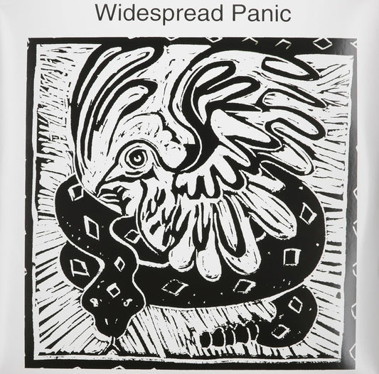 Widespread Panic – Widespread Panic 2LP