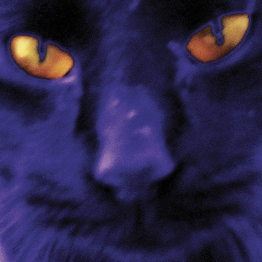 David Kilgour And The Heavy Eights – Bobbie's A Girl (Cat's Eye Swirl) LP