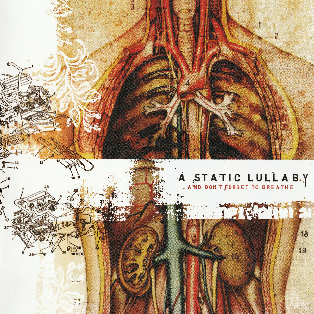 Static Lullaby - & Don't Forget To Breathe [Indie Exclusive] [Indie Exclusive] [Reissue]