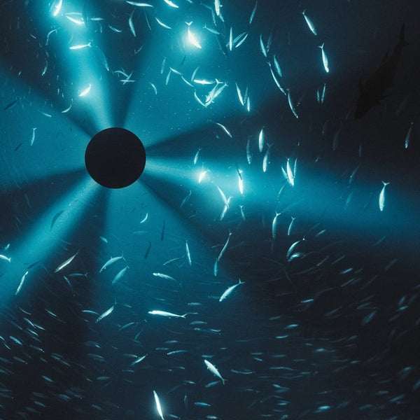 Laurel Halo - Midnight Zone (original soundtrack)