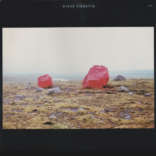 Steve Tibbets - Exploded View LP