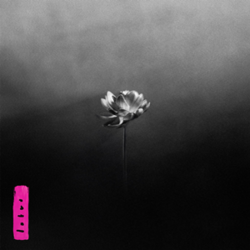 Little Simz - Lotus (Indie Exclusive, Pink)