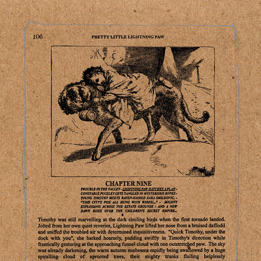 Silver Mountain Reveries - The "Pretty Little Lightning Paw" EP