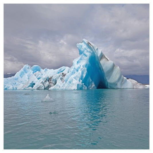 Surfer Blood - Snowdonia (White vinyl)