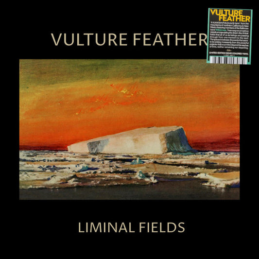 Vulture Feather - Liminal Fields (Bone vinyl)