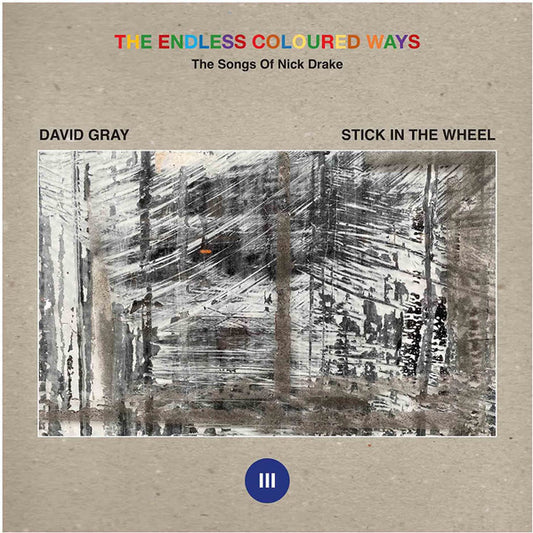 David Gray / Stick In The Wheel - The Endless Coloured Ways: The Songs of Nick Drake - Place To Be / Parasite