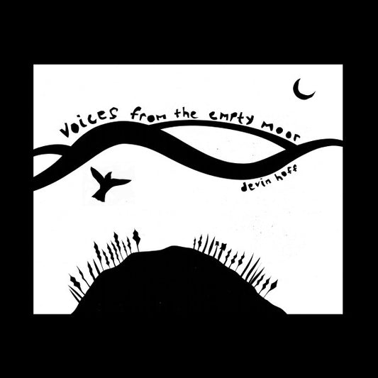 Devin Hoff - Voices From The Empty Moor (Blue Sea Foam vinyl) LP