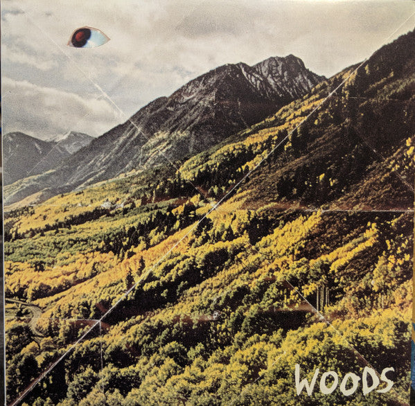 Woods - Songs Of Shame