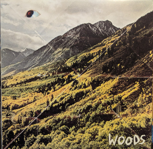 Woods - Songs Of Shame