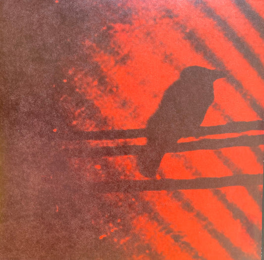 Silver Mt. Zion - Born Into Trouble As The Sparks Fly Upward