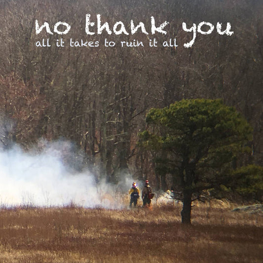 No Thank You - All It Takes To Ruin It All (Green vinyl)