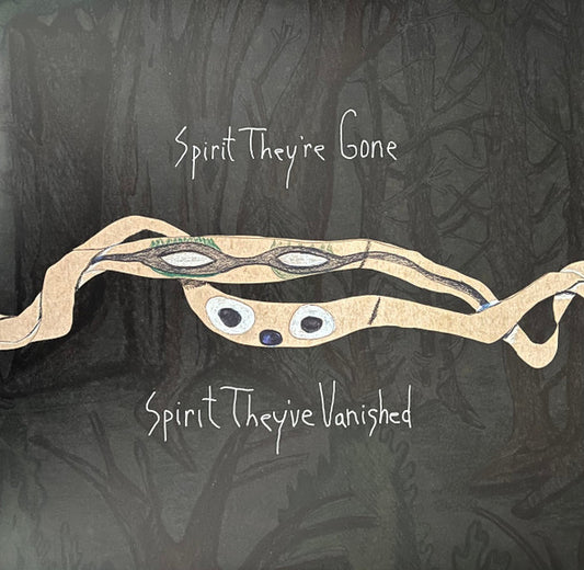 Animal Collective - Spirt They're Gone Spirit Vanished