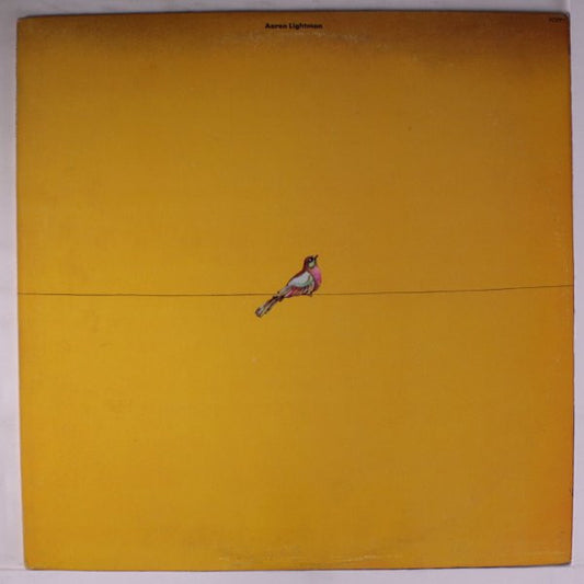 Aaron Lightman - Self-Titled LP