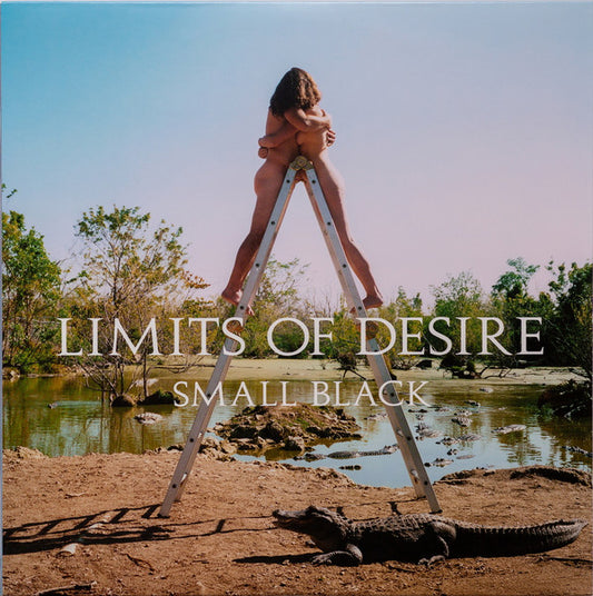 Small Black - Limits of Desire