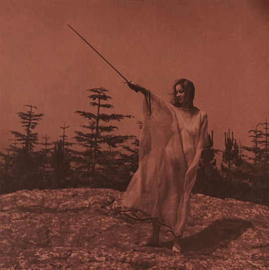 Unknown Mortal Orchestra - II