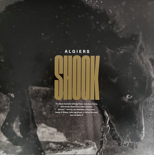 Algiers - Shook