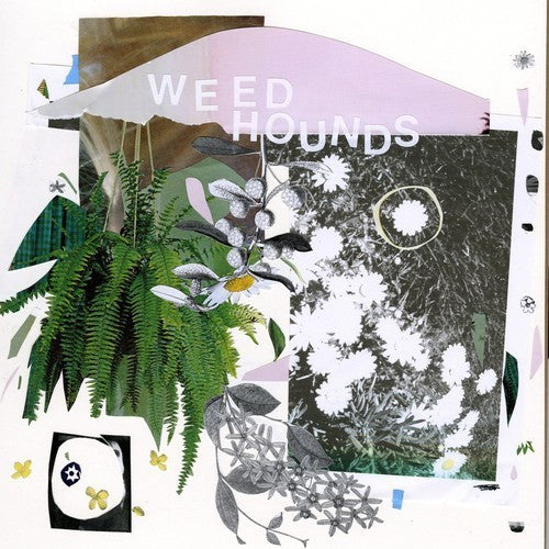 Weed Hounds - Self Titled LP