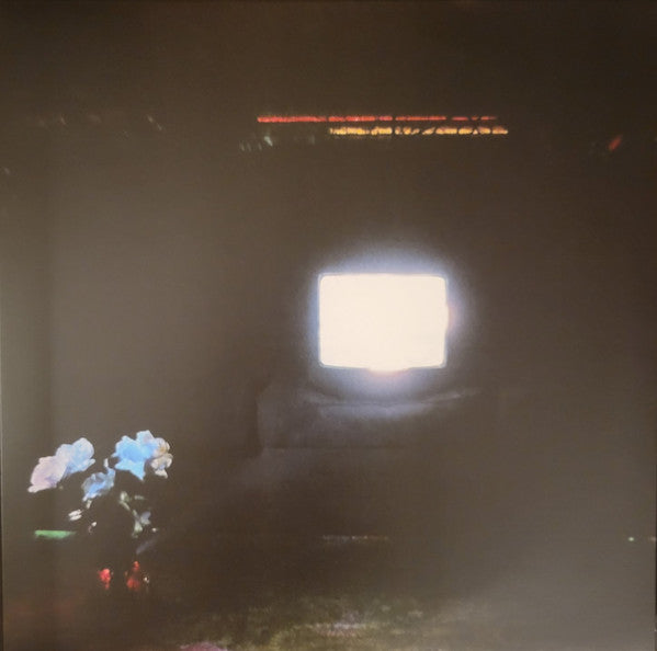 Emeralds - Does It Look Like I'm Here? (Ectoplasm vinyl)