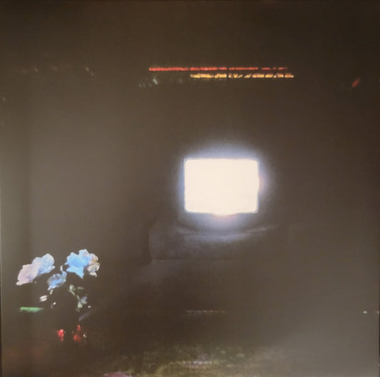 Emeralds - Does It Look Like I'm Here? (Ectoplasm vinyl)