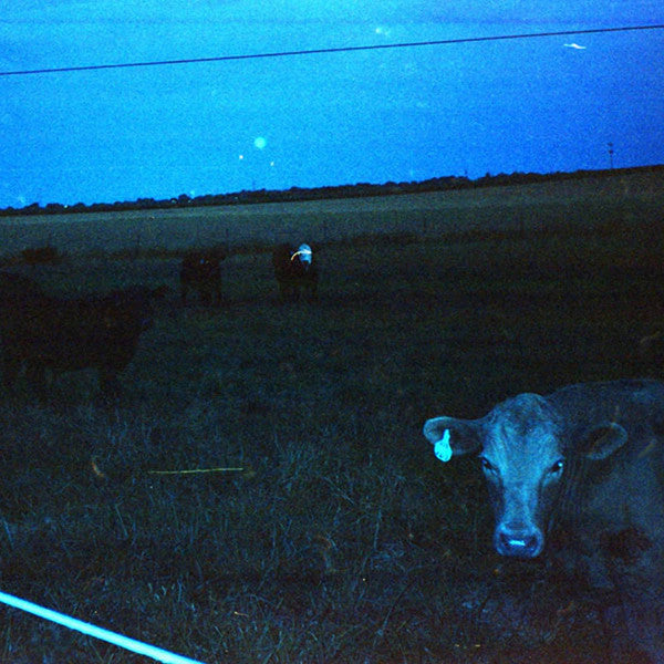 Waveform* - Antarctica (Dark Blue vinyl)