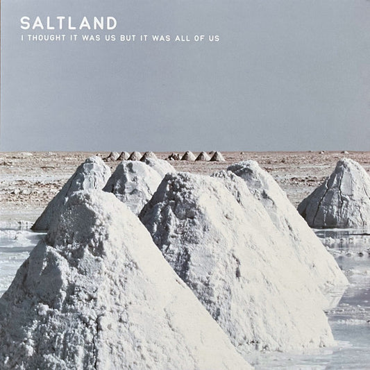 Saltland - I Thought It Was Us But It Was All Of Us