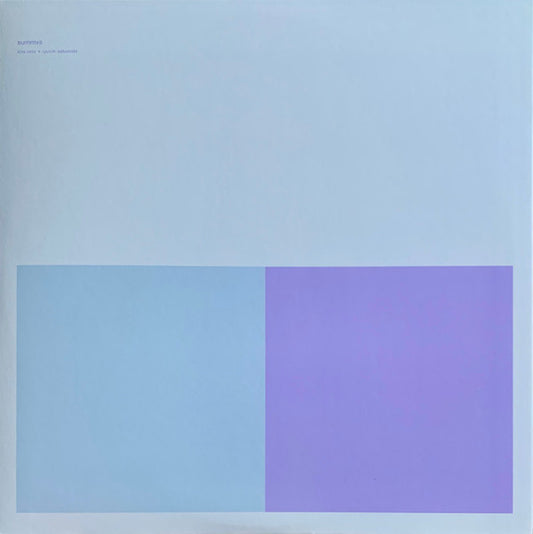 Alva Noto + Ryuichi Sakamoto - Summvs (Remaster)