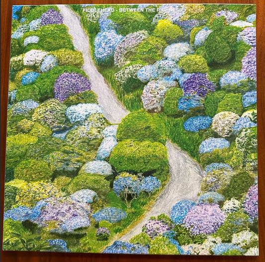 Fiddlehead - Between the Richness (Violet)