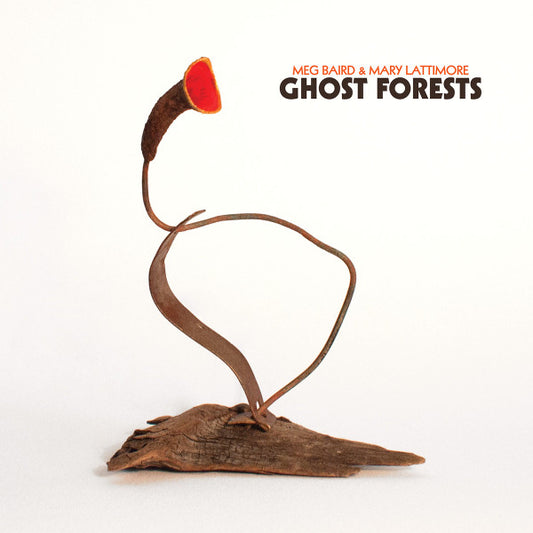 Meg Baird & Mary Lattimore - Ghost Forests