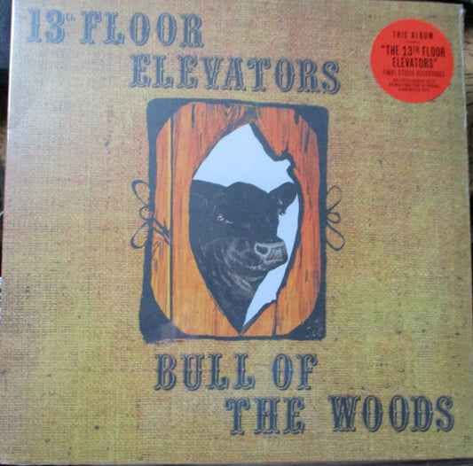 Thirteenth Floor Elevators - Bull Of The Woods