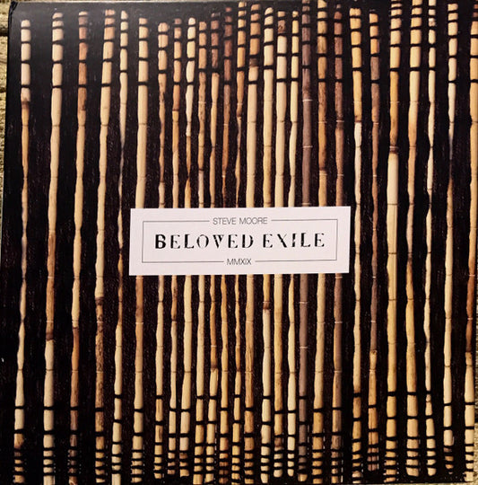 Steve Moore - Beloved Exile