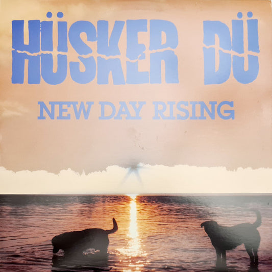 Hüsker Dü - New Day Rising