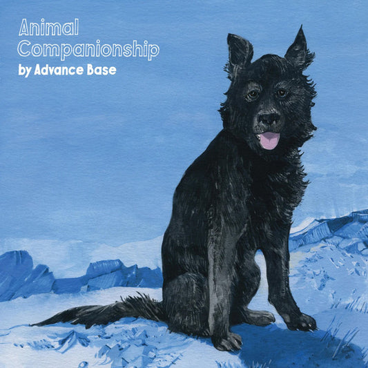 Advance Base - Animal Companionship (Clear)